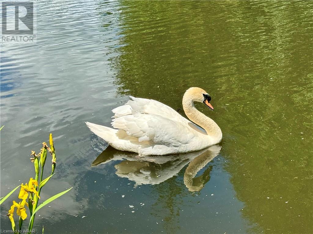 Image of property at 15 BUSH Lane