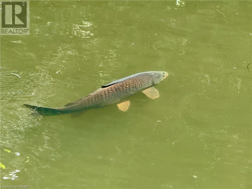 Image of property at 15 BUSH Lane