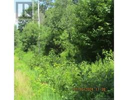 00 770 Route, Lee Settlement, New Brunswick