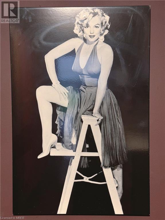 395 Michener Rd, Guelph, Ontario  N1K 1E8 - Photo 3 - 40623226