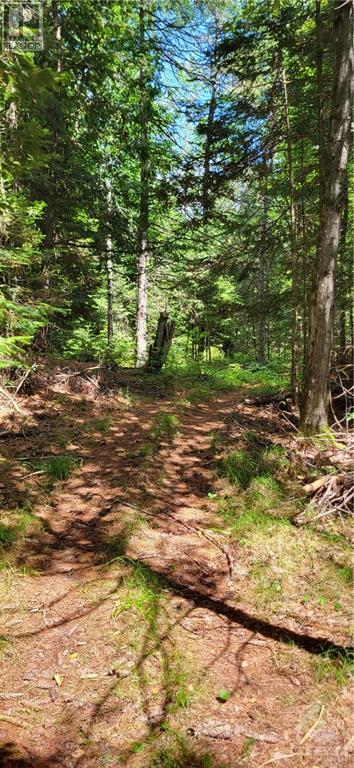 2216 Bellamy Road, Pakenham, Ontario K0A 3L0 - Photo 3 - 1403367