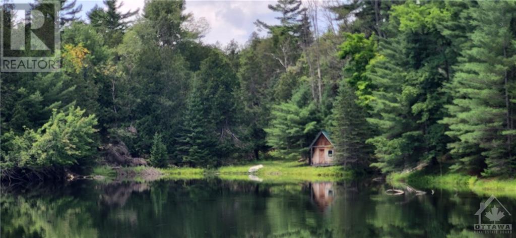 2216 Bellamy Road, Pakenham, Ontario K0A 3L0 - Photo 6 - 1403367