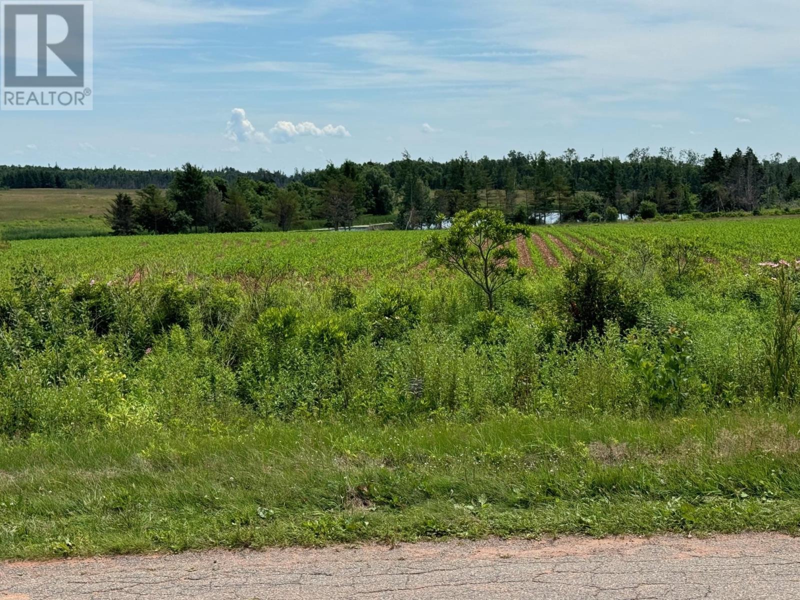 0 Point Prim Road, Point Prim, Prince Edward Island  C0A 1A0 - Photo 12 - 202409766