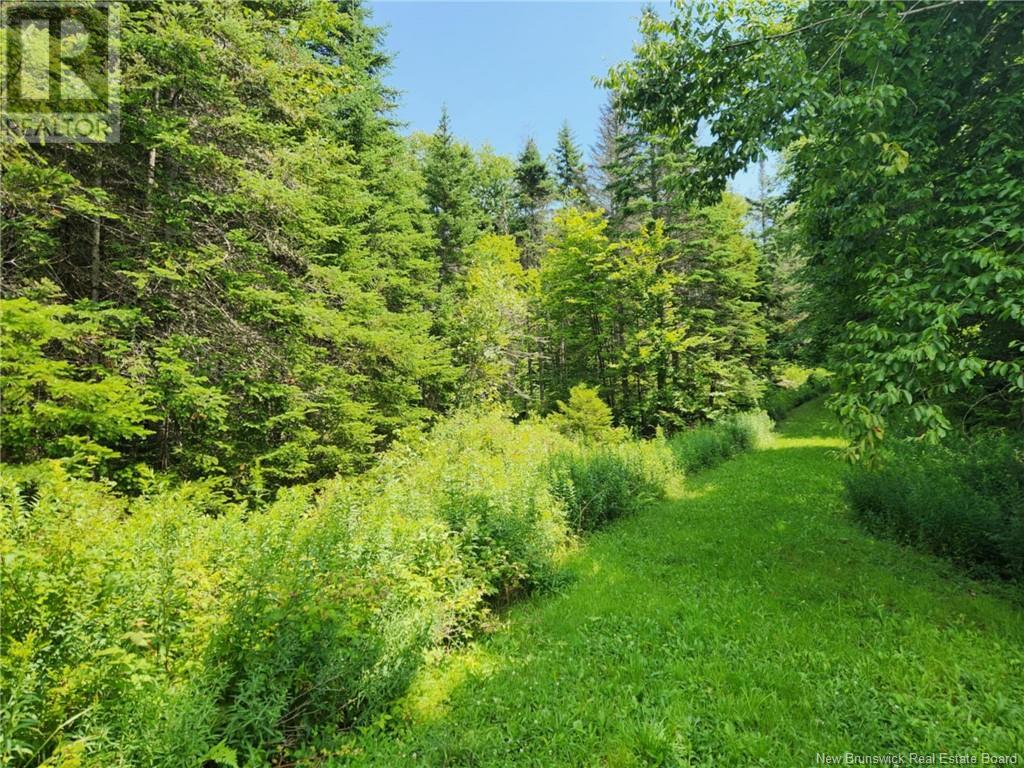 845 Route, Kingston, New Brunswick  E5N 1J4 - Photo 1 - NB103345