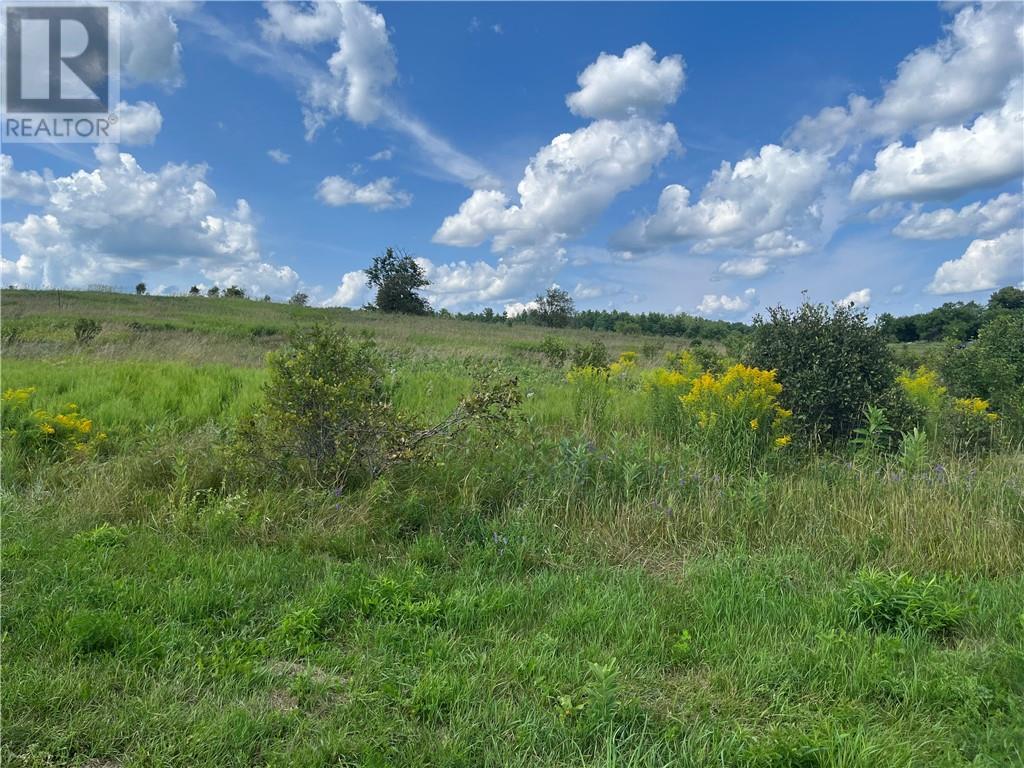 Pt Lt 10 Code Road, Pembroke, Ontario  K8A 6W4 - Photo 28 - 1398339