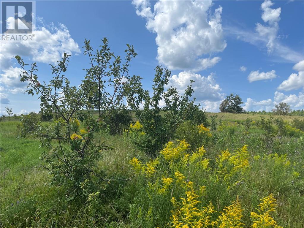 Pt Lt 10 Code Road, Pembroke, Ontario  K8A 6W4 - Photo 29 - 1398339