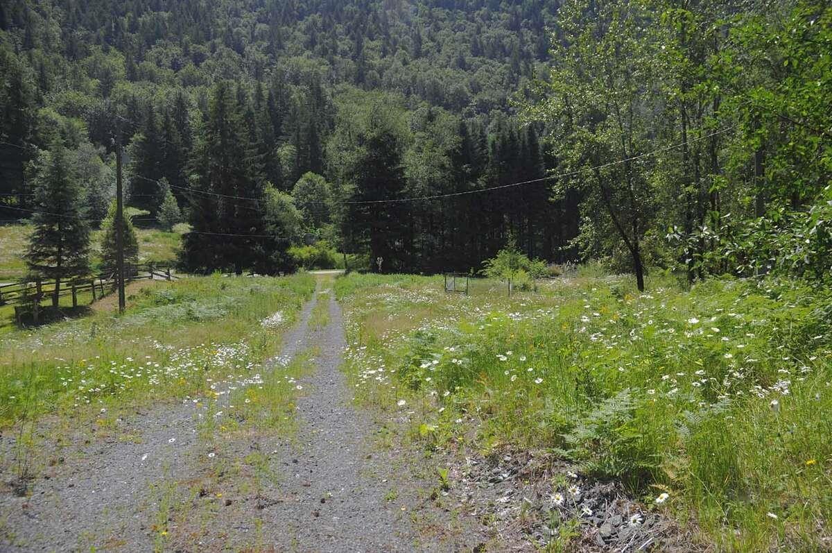 43751 FROST ROAD|Columbia Valley, Columbia Valley, British Columbia