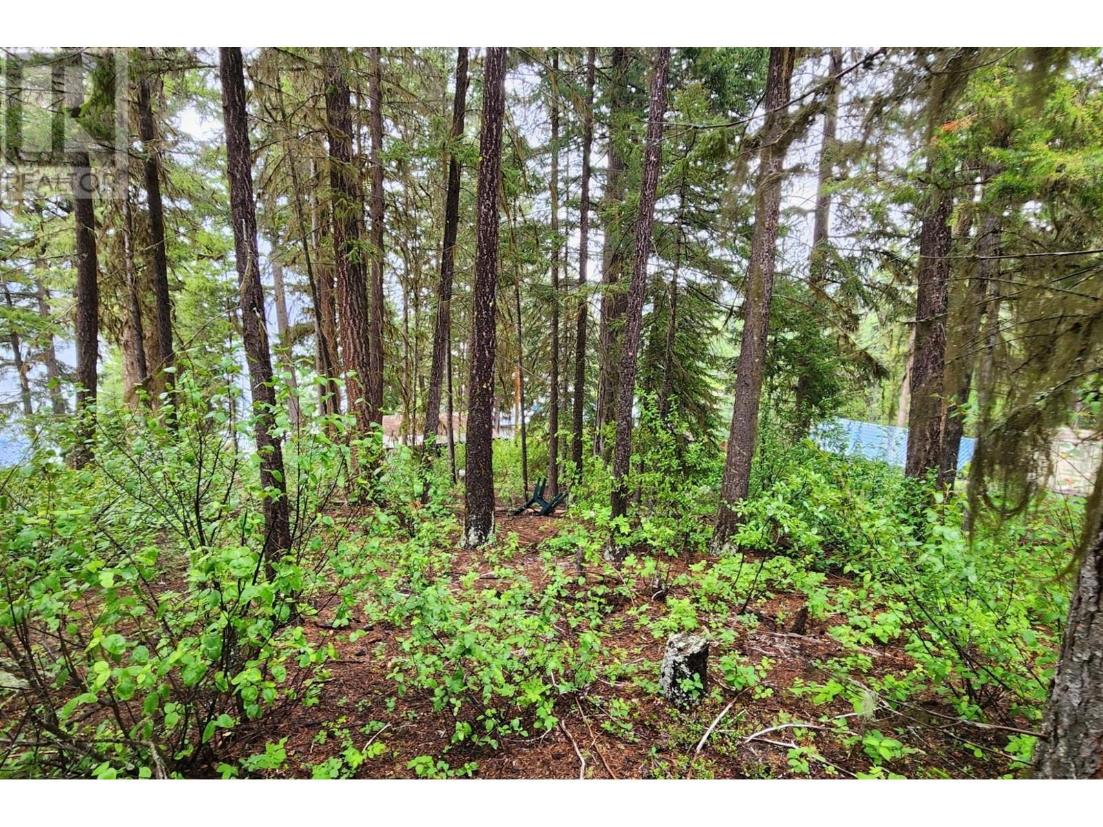 7260 Gun Lake West Rd We, Lillooet, British Columbia  V0K 1P0 - Photo 17 - 179978