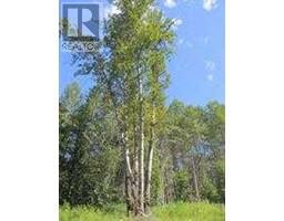 Lot #43 Wapiti River SW-21-69-10-W6, county of, Alberta