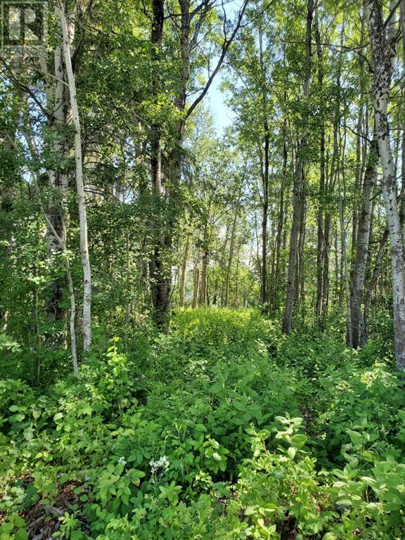 Property at Lot 4 Campsite Road image 3