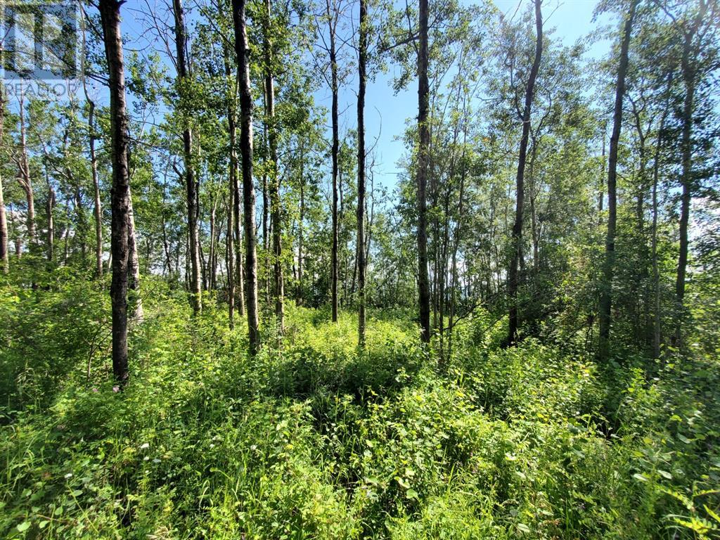 Property at Lot 4 Campsite Road image 2