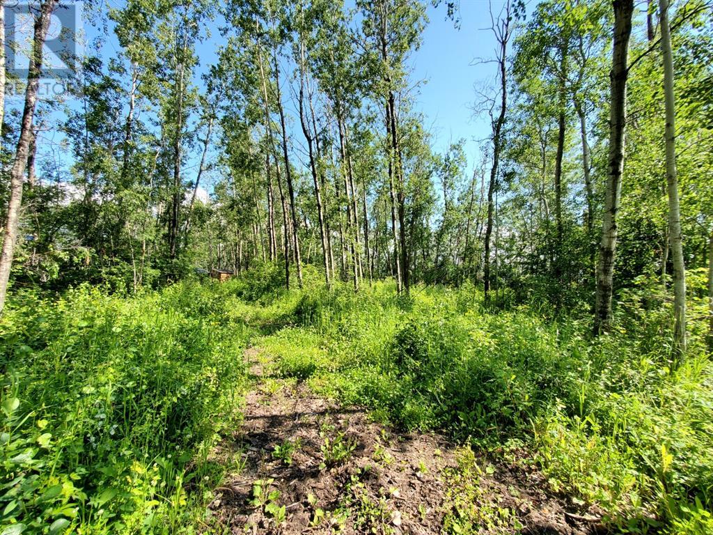 Property at Lot 4 Campsite Road image 1