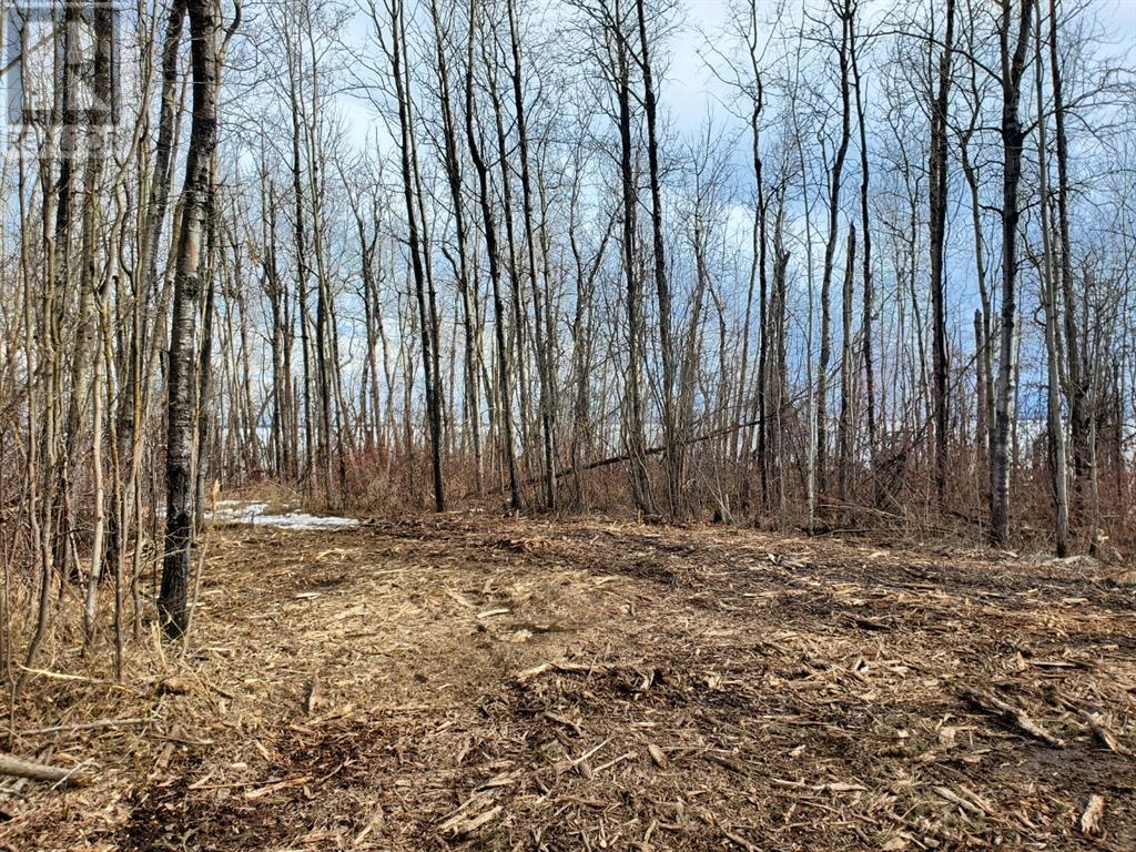 Property at Lot 4 Campsite Road image 4