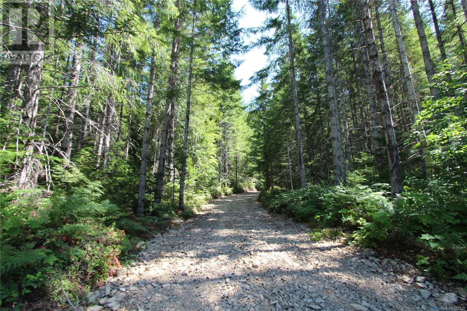 Sl2 Gold River Hwy, Campbell River, British Columbia  V9W 5C5 - Photo 10 - 971225