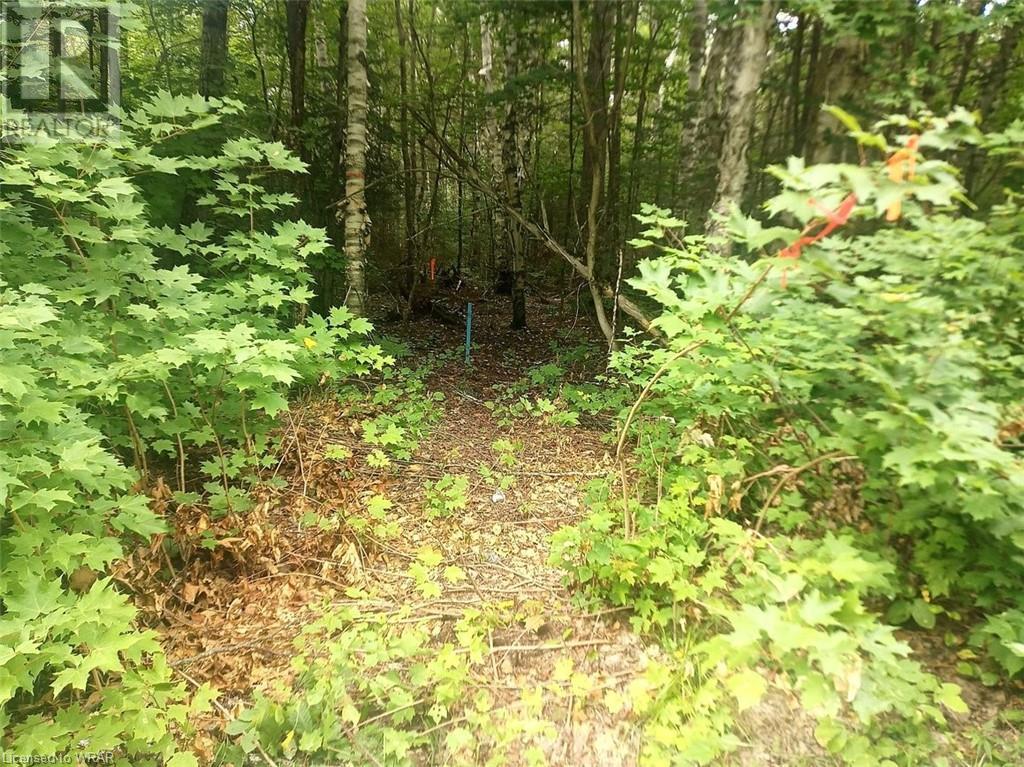 Pt 1 Lt 22 Con 1 Mcmurric Yearley Road, Mcmurrich/monteith, Ontario  O0O 0O0 - Photo 4 - 40623450