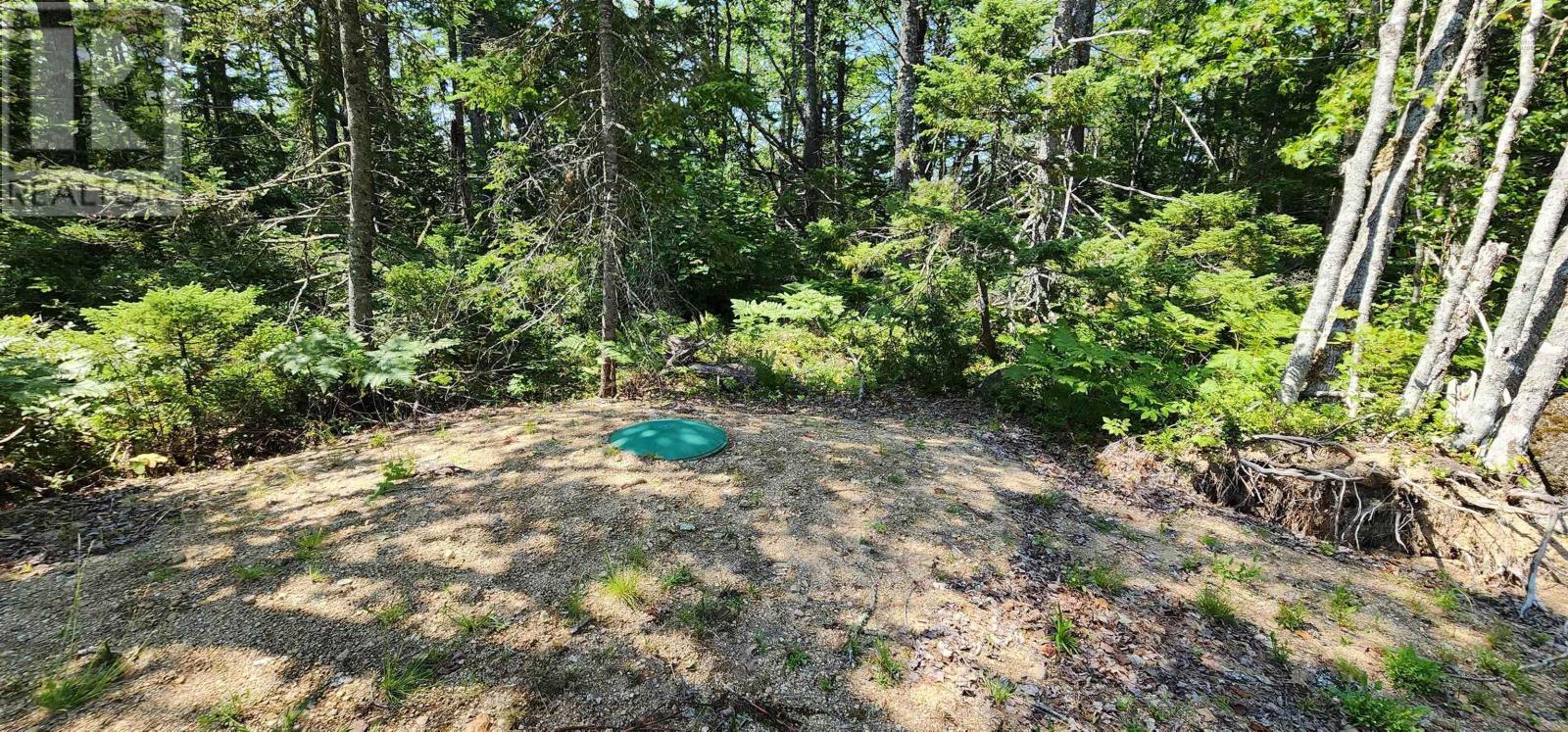 Lot 5 Virginia Road, West Springhill, Nova Scotia  B0S 1A0 - Photo 21 - 202417542