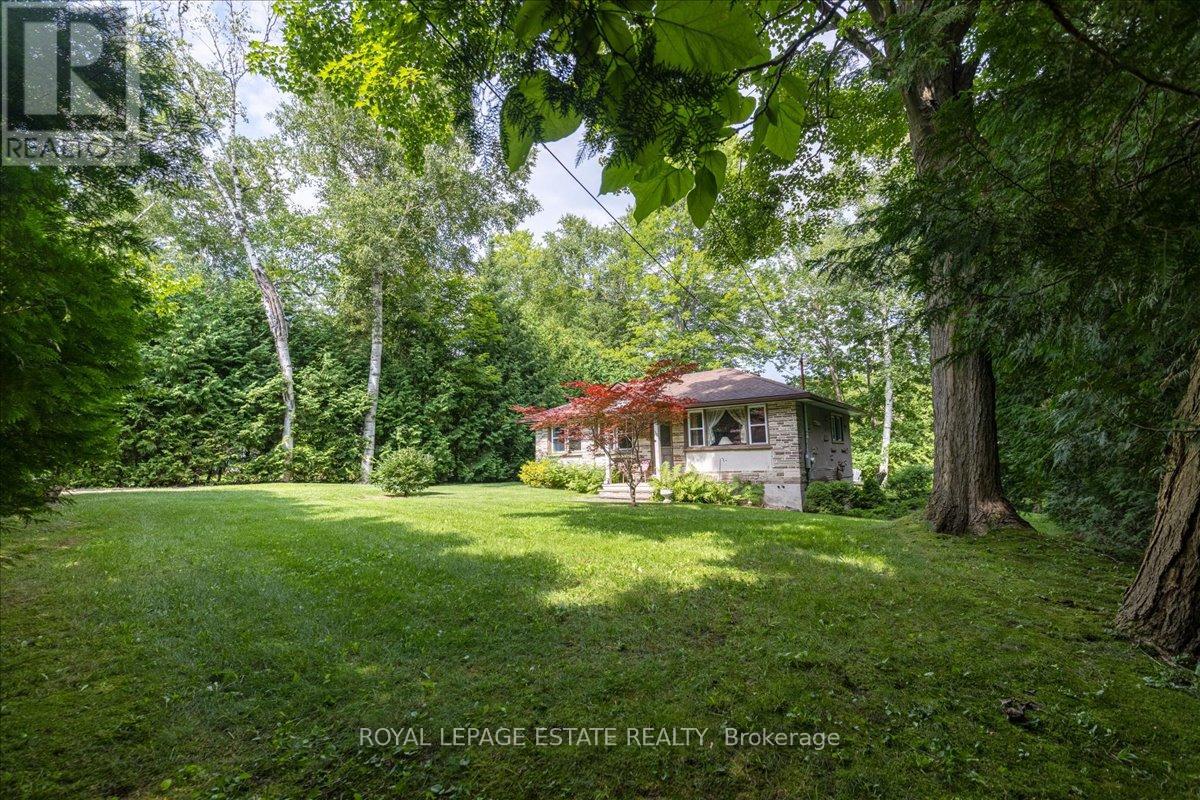 35 Birch Road, Georgina (Sutton & Jackson's Point), Ontario  L0E 1L0 - Photo 35 - N9050572