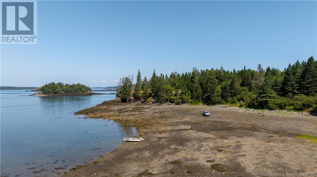 Narrows Road, Welshpool, New Brunswick  E5E 1C1 - Photo 10 - NB102768
