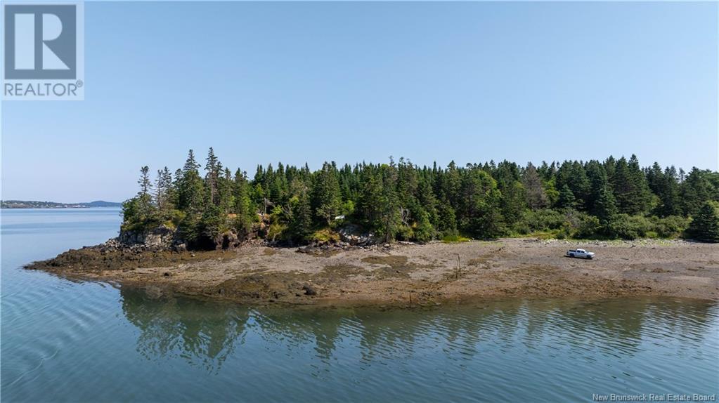 Narrows Road, Welshpool, New Brunswick  E5E 1C1 - Photo 11 - NB102768