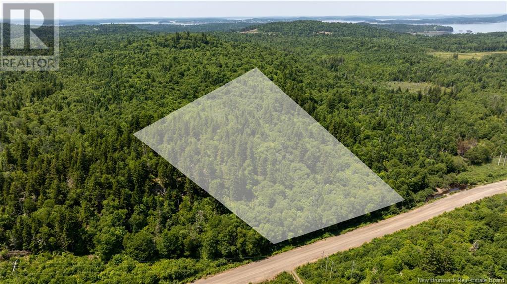 Lot 86-133 Fundy Drive, Campobello, New Brunswick  E5E 1C1 - Photo 12 - NB102808