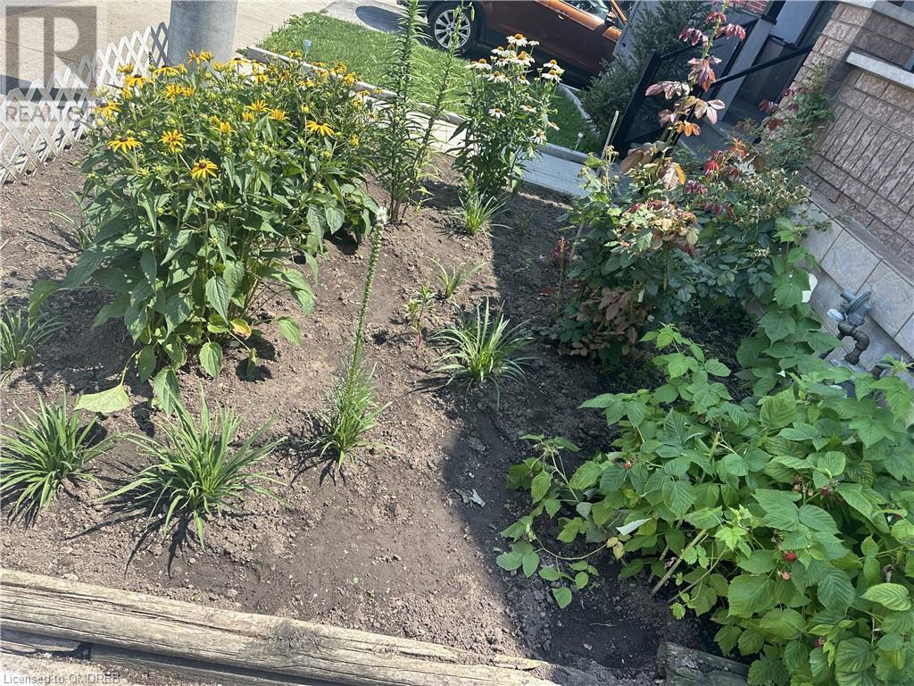 44 Rosemont Avenue, Hamilton, Ontario  L8L 2M3 - Photo 16 - 40622485