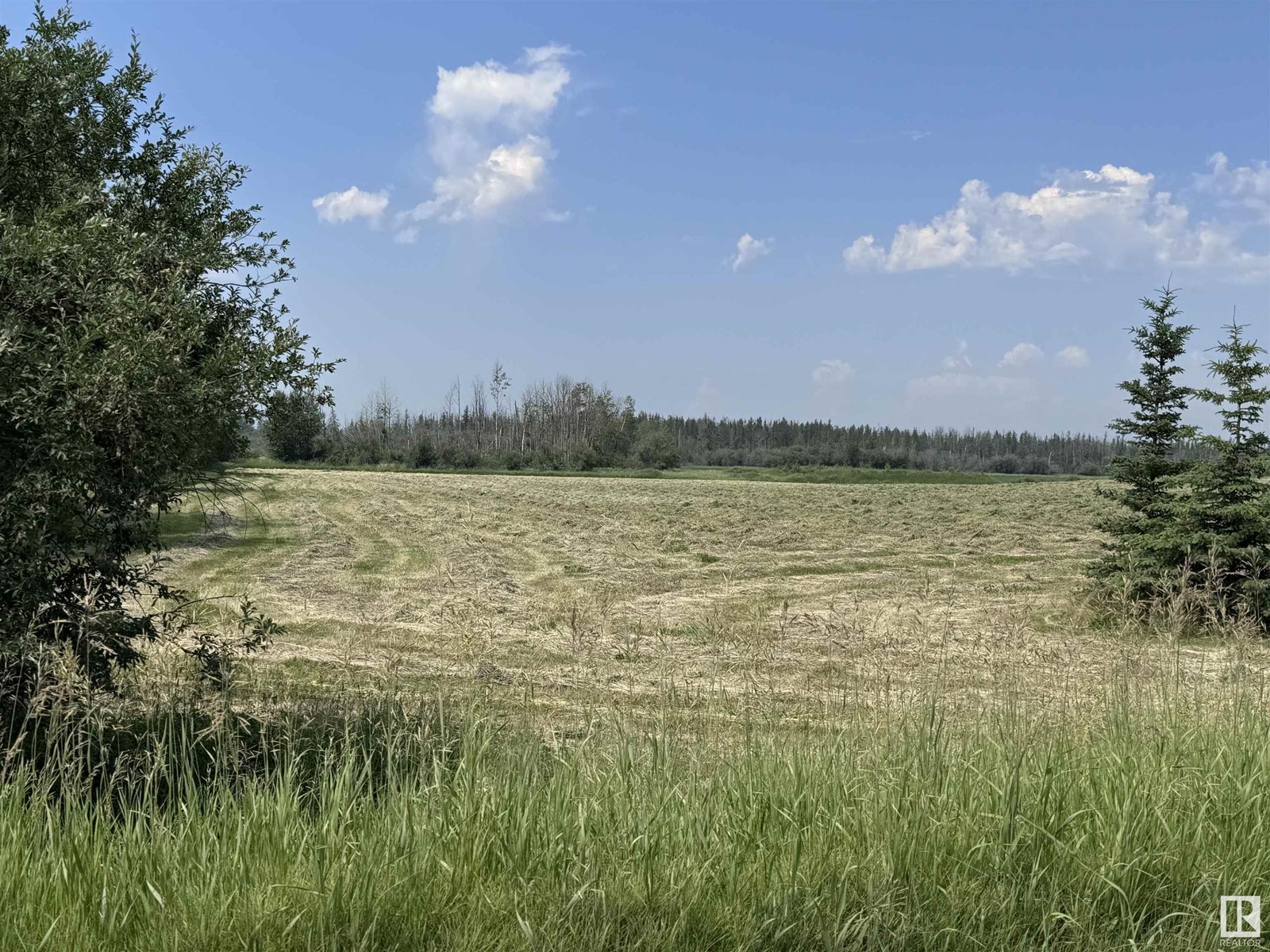 64108 Rge Rd 272, Rural Westlock County, Alberta  T0G 1H0 - Photo 36 - E4397717