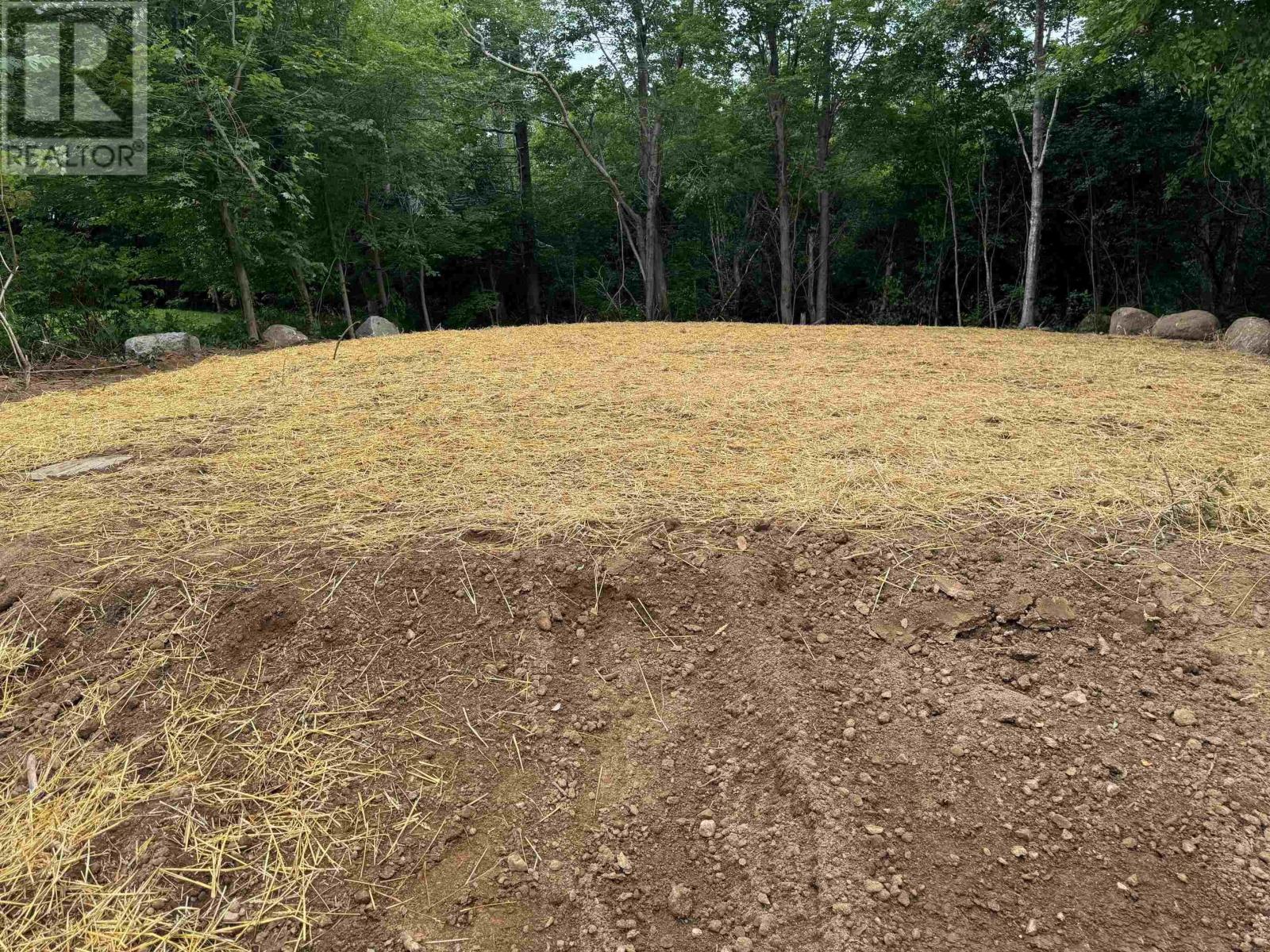 1199/1201 Highway 7, Westphal, Nova Scotia  B2Z 1A9 - Photo 5 - 202417441