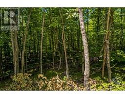 17158 ROAD 509 ROAD