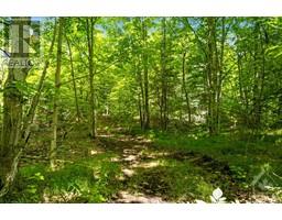 17146 ROAD 509 ROAD