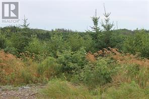 Lot 129 Country Path, Brigus Junction, Newfoundland & Labrador  A0B 1G0 - Photo 3 - 1275297