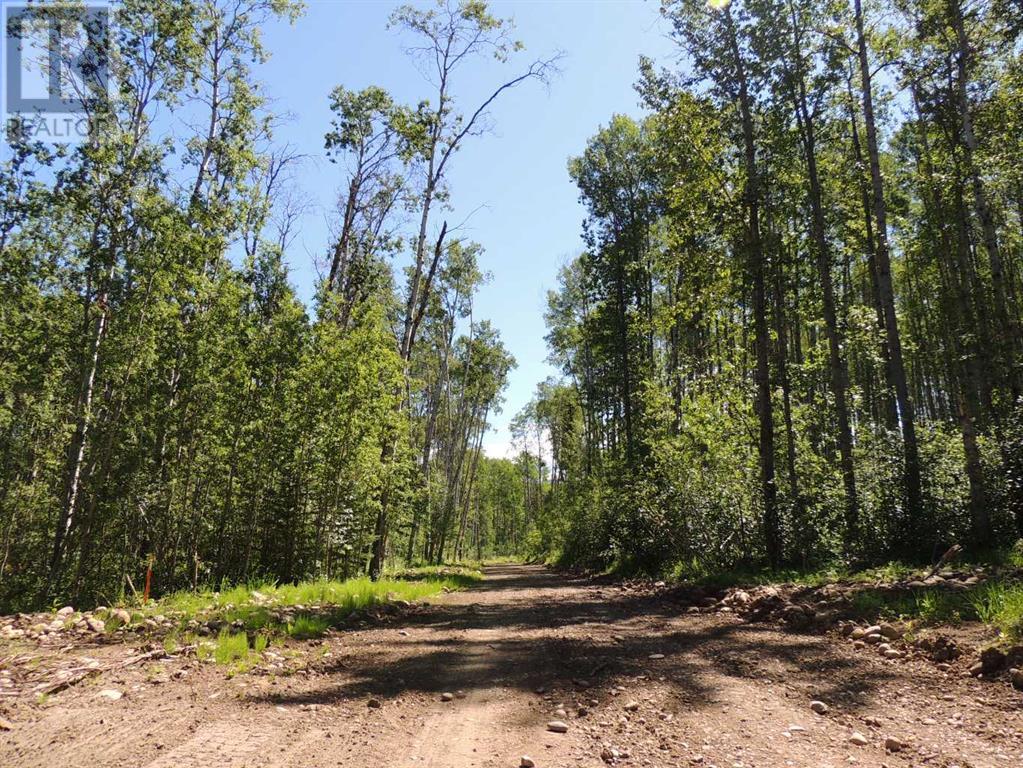 Property Image 3 for Lot 33, 692059, RGE RD 104A Wapiti River