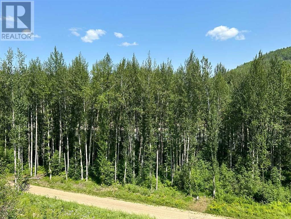 #51 Wapiti River, County Of, Alberta  T0H 0C0 - Photo 25 - A2151742