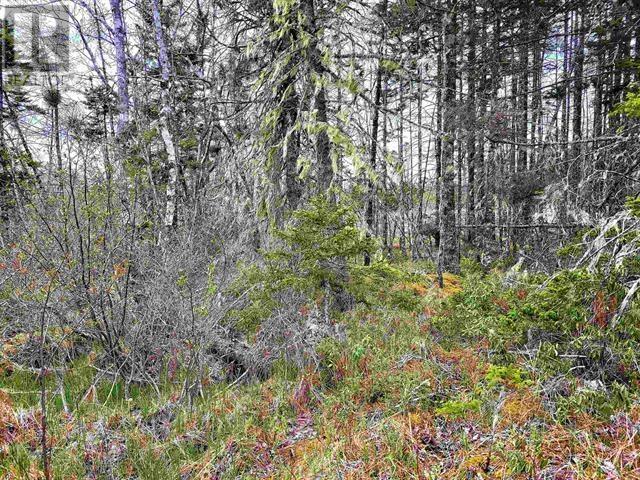 Lot Back Road, Voglers Cove, Nova Scotia  B0J 2H0 - Photo 6 - 202417603