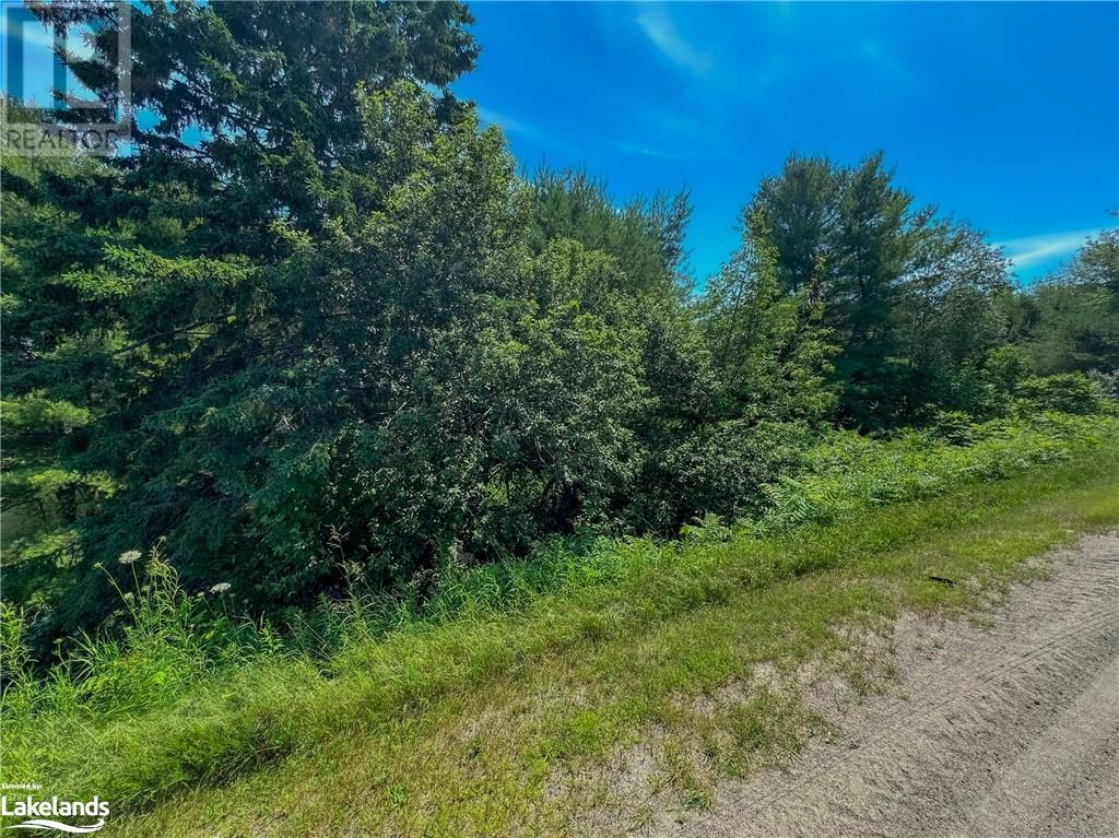 9 Municipal Drive, Mcdougall, Ontario  P2A 2X4 - Photo 26 - 40624686