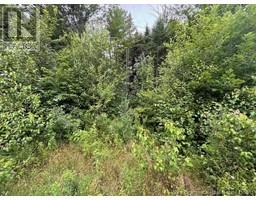 LOT Pleasant Drive, Minto, New Brunswick