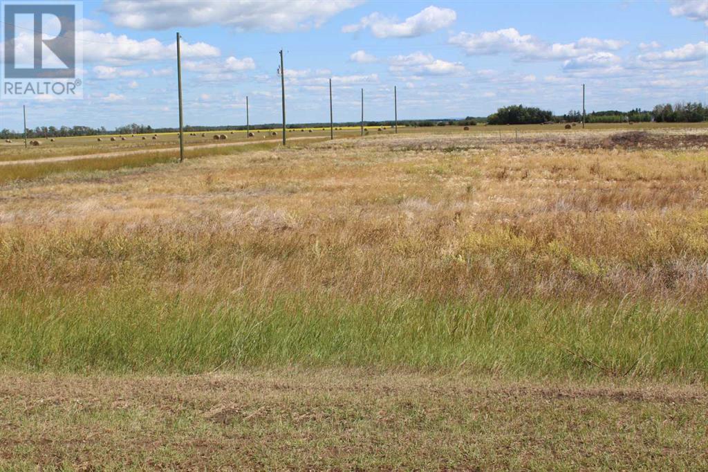 Lorem Ipsum Dol, Manning, Alberta  T0H  - Photo 1 - DEMO25357695