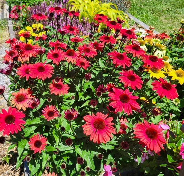 Image of property at 1802 FOUR MILE CREEK Road