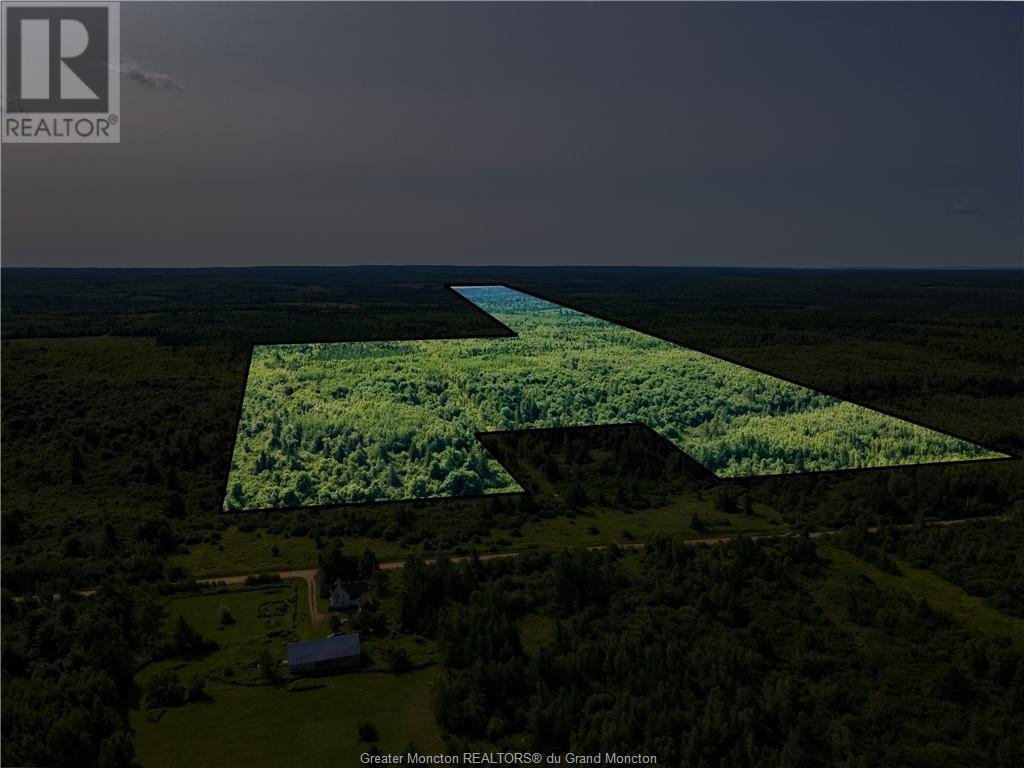 Lot Cormier Settlement Road, Dundas, New Brunswick  E4T 3G7 - Photo 1 - M161158