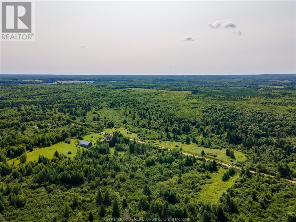 Lot Cormier Settlement Road, Dundas, New Brunswick  E4T 3G7 - Photo 8 - M161158
