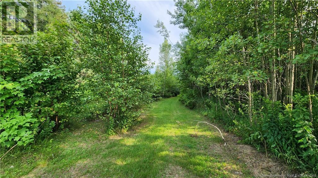 Property at 7.6 acres Rue Pinet image 1