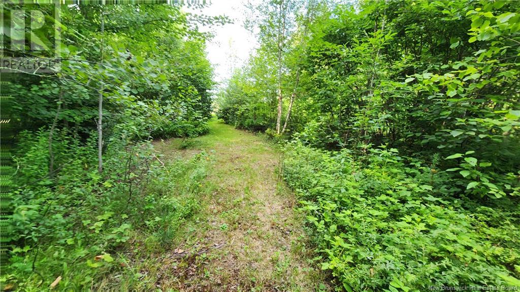 Property at 7.6 acres Rue Pinet image 3