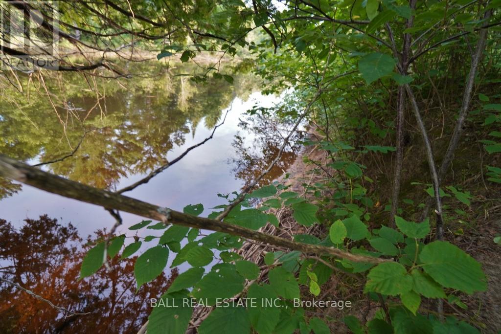 0 Glory Road, Bancroft, Ontario  K0L 1C0 - Photo 7 - X9054476