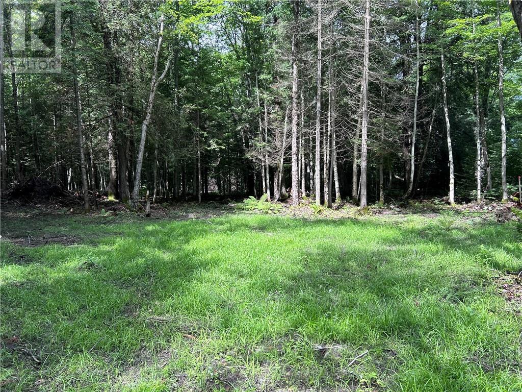 63 Annie Mayhew Road, Combermere, Ontario  K0J 1L0 - Photo 7 - 1370893