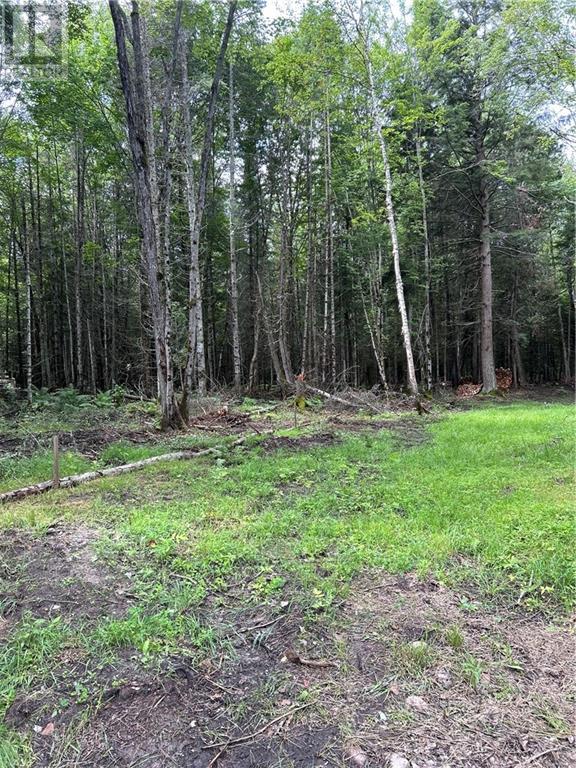 63 Annie Mayhew Road, Combermere, Ontario  K0J 1L0 - Photo 4 - 1370893