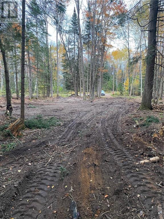 63 Annie Mayhew Road, Combermere, Ontario  K0J 1L0 - Photo 12 - 1370893