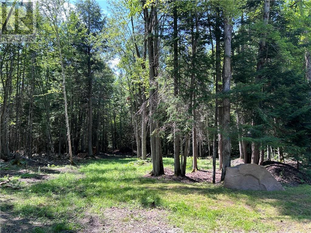 63 Annie Mayhew Road, Combermere, Ontario  K0J 1L0 - Photo 11 - 1370893