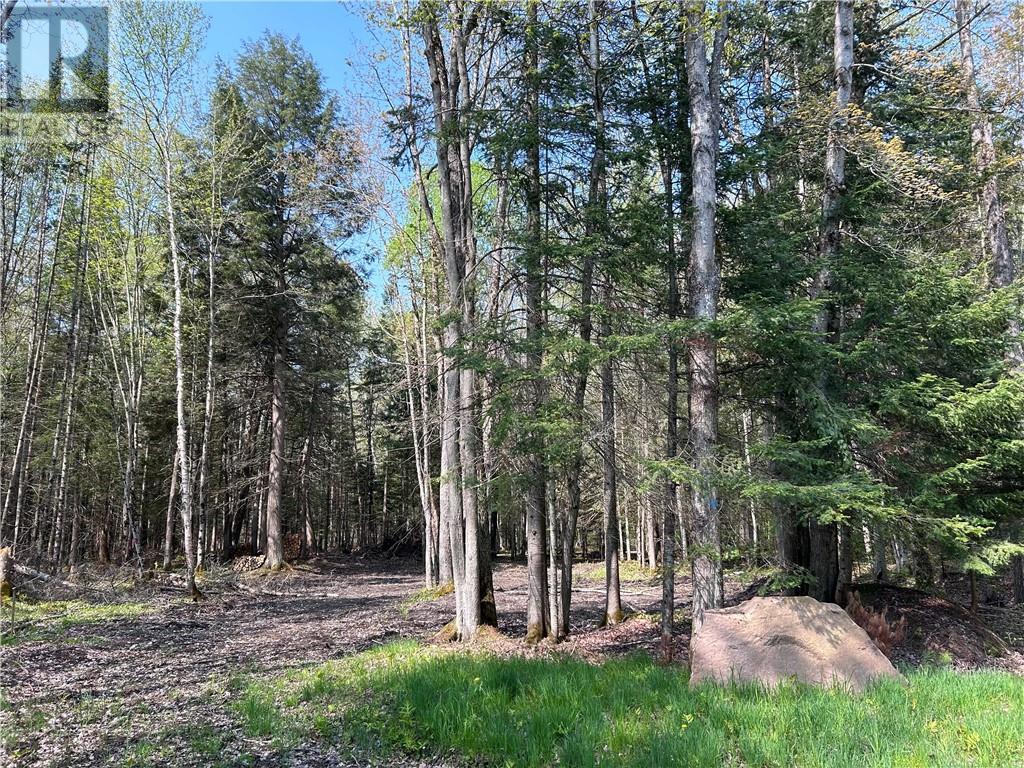 63 Annie Mayhew Road, Combermere, Ontario  K0J 1L0 - Photo 10 - 1370893