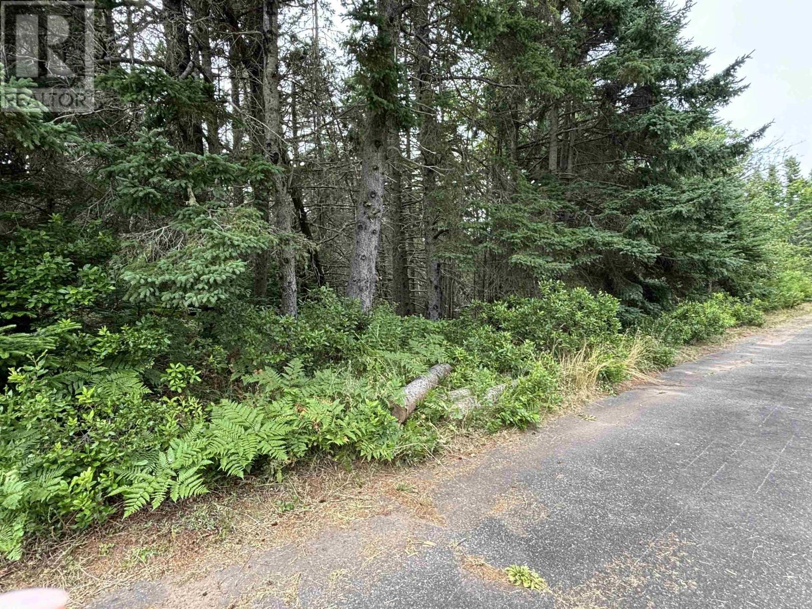 Lorem Ipsum Dolor Sit, Fortune Bridge, Prince Edward Island  C0A  - Photo 18 - DEMO27208976