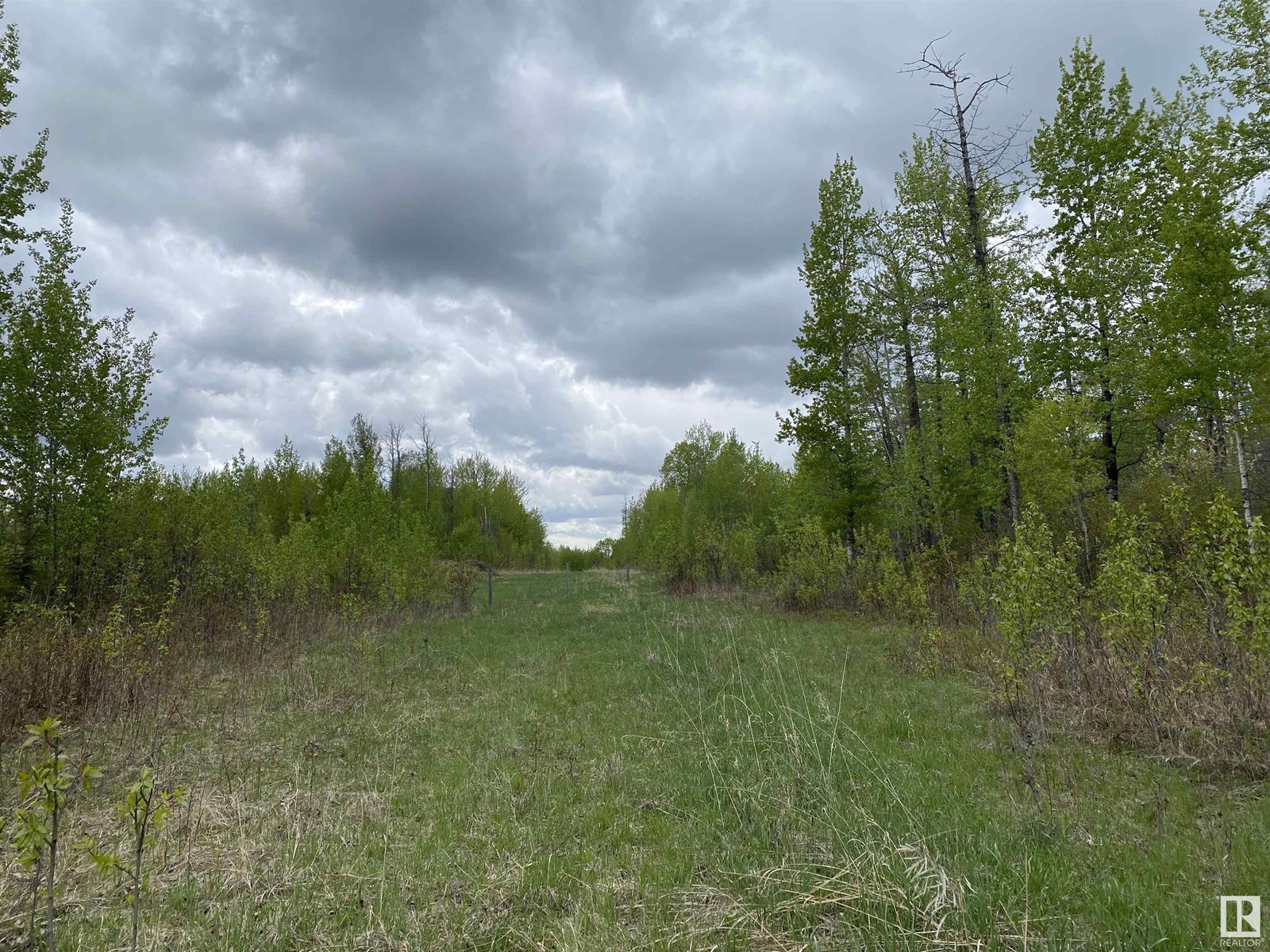 Twp Rd 490a, Rural Brazeau County, Alberta  T0C 0P0 - Photo 43 - E4398564