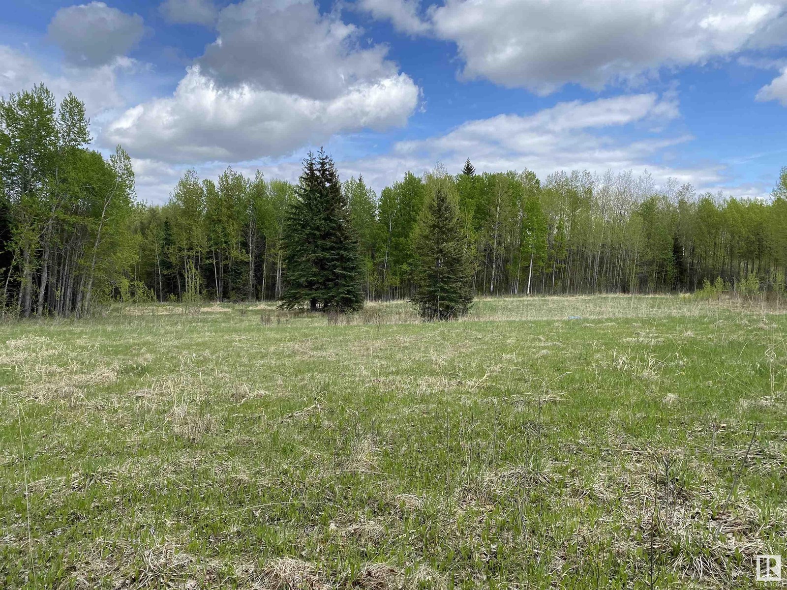 Twp Rd 490a, Rural Brazeau County, Alberta  T0C 0P0 - Photo 28 - E4398564